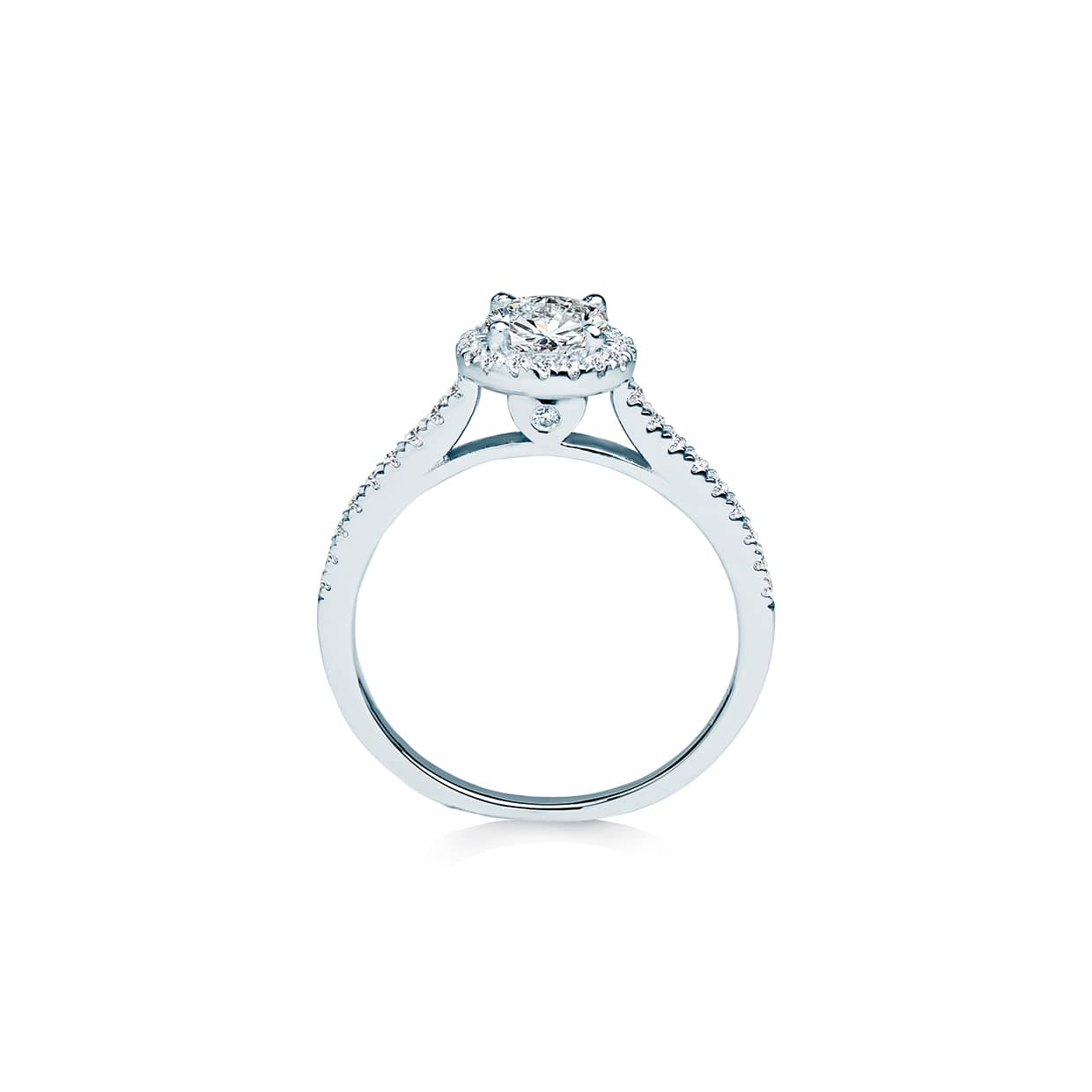 Casanova forlovelsesring med hvid rund safir og diamant halo
