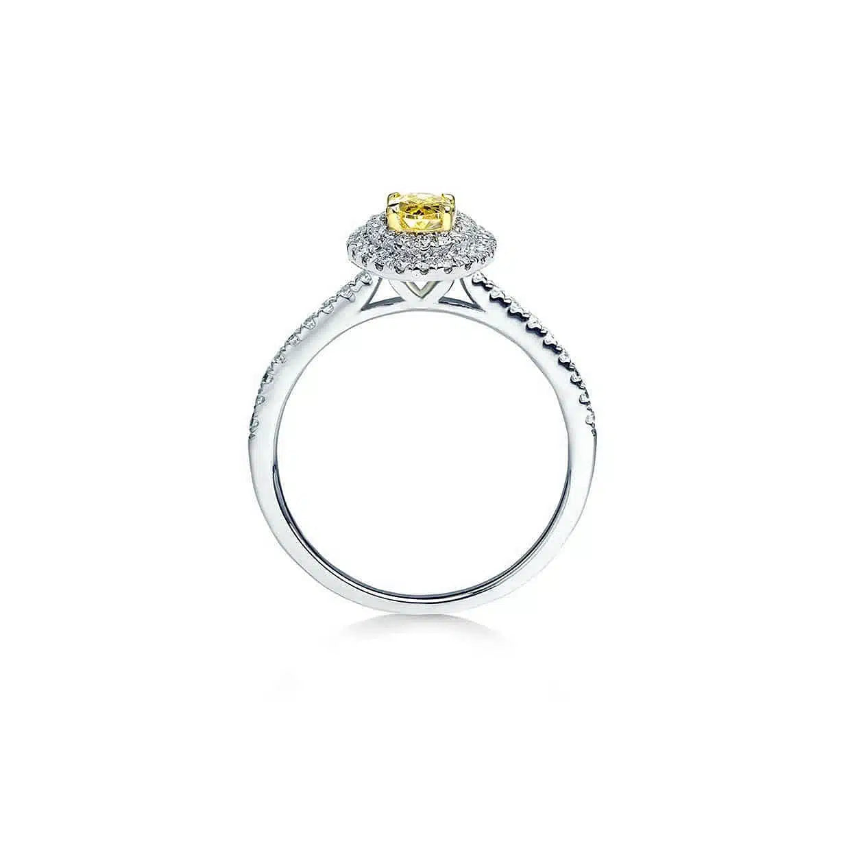 Bliss gul forlovelsesring med safir og dobbelt diamant halo