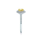 Bliss gul forlovelsesring med safir og dobbelt diamant halo